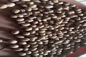 Muskatnuss from Indonesien